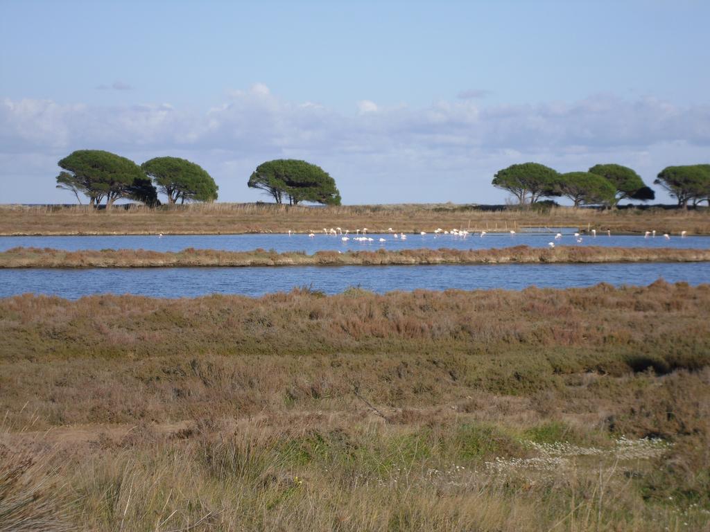 La Collina Posada (Sardinia)